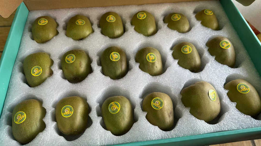 攀枝花红心猕猴桃 – 攀枝花芒果网