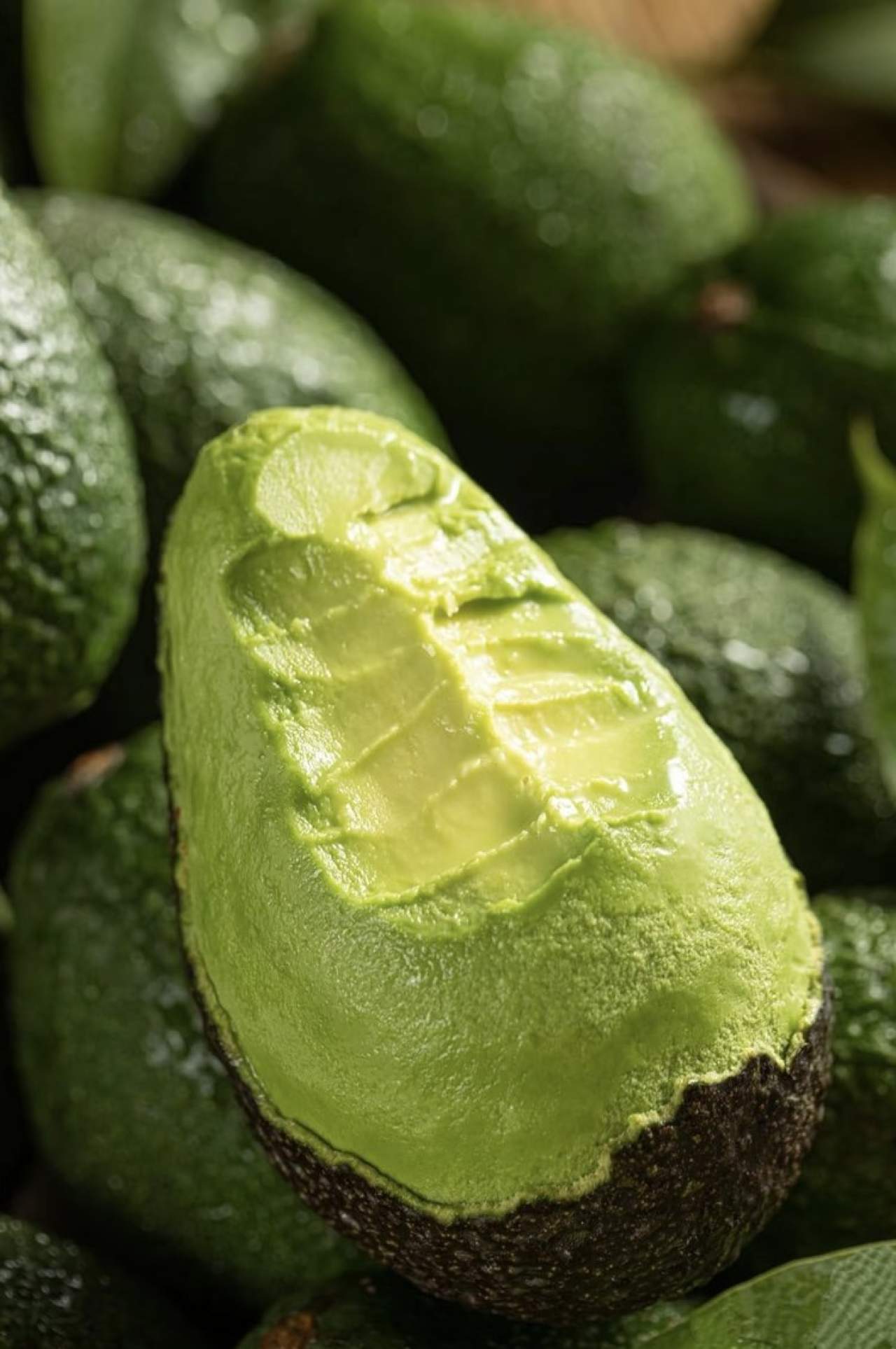 大凉山哈斯牛油果