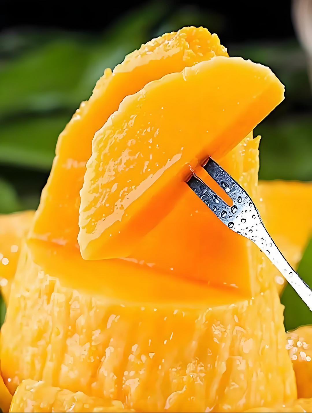 攀枝花金煌芒果