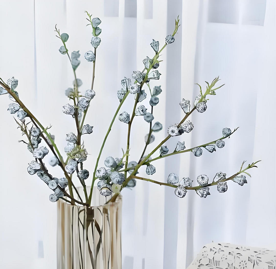 蓝桉果实的营养价值与多种神奇作用,探索蓝桉果实的健康秘辛