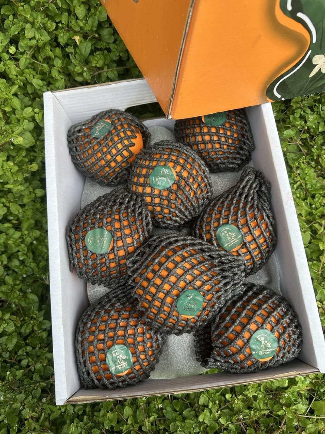 "嵋春柑～大橘·甘平<礼盒装