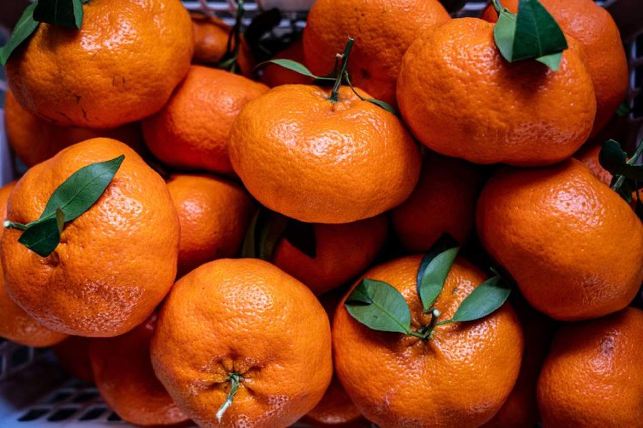 嵋春柑～大橘·甘平<礼盒装>