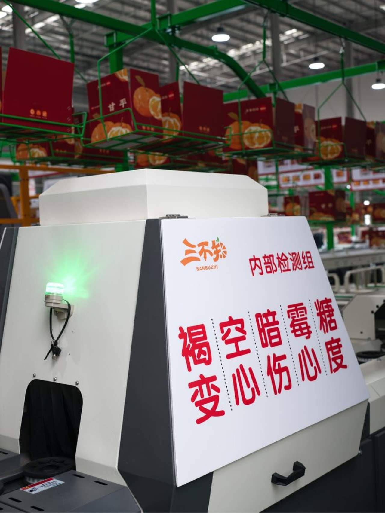 嵋春柑～大橘·甘平<礼盒装>