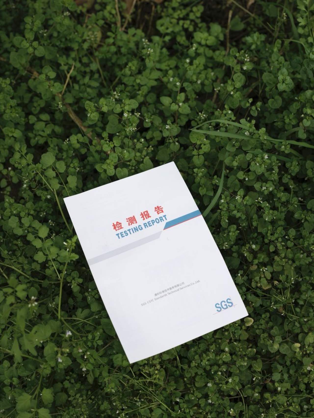 嵋春柑～大橘·甘平<礼盒装>