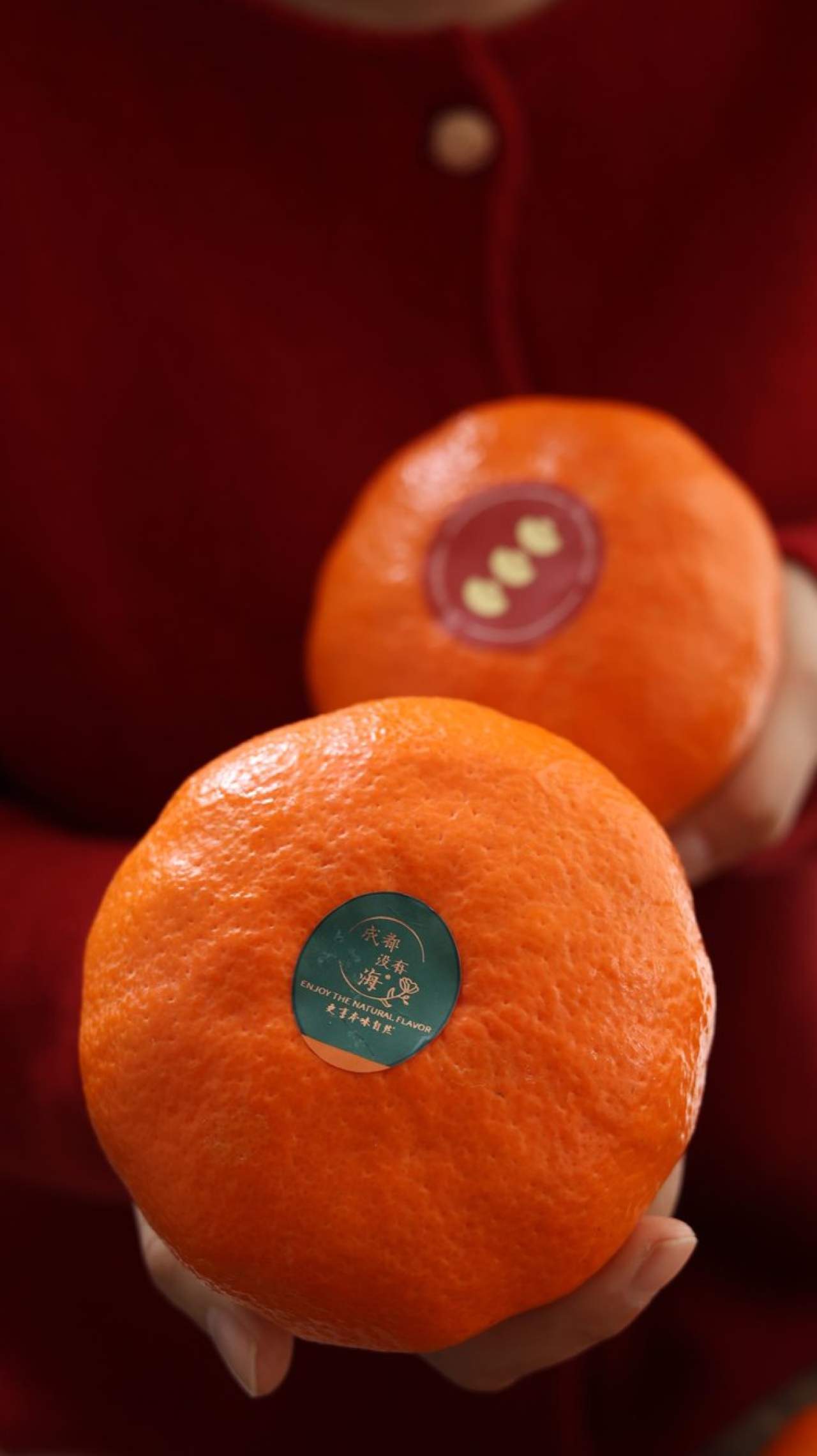 嵋春柑～大橘·甘平<礼盒装>