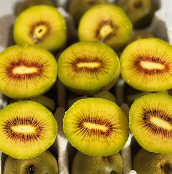 攀枝花红心猕猴桃