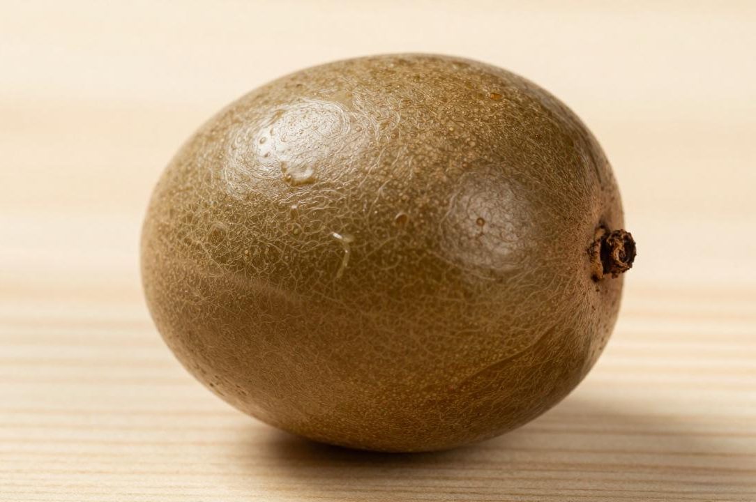 壮阳果有什么神奇功效?一文带你了解壮阳果的药用价值与作用