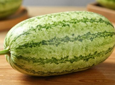 籽瓜怎么吃?籽瓜的营养价值与健康功效解析