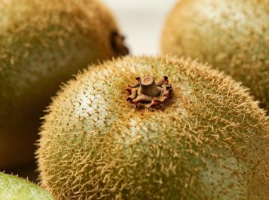 竹溪二号猕猴桃有哪些功效与作用？