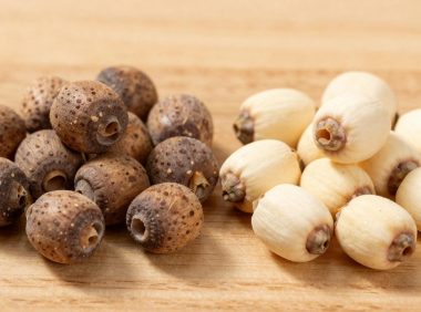 中药莲子与普通莲子的区别是什么？莲子的功效解析