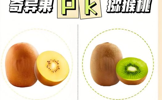奇异果与弥猴桃的区别，哪种更适合你的饮食需求？
