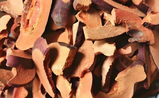 中药光木瓜有哪些神奇功效与作用？了解一下！