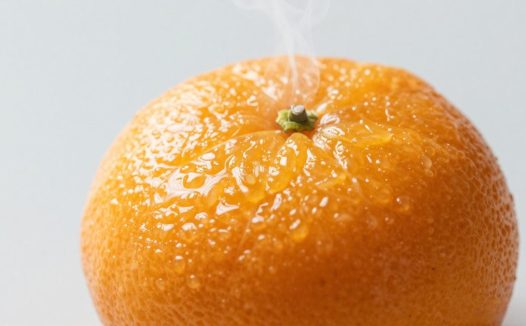 蒸橘子的功效与作用解析提升免疫力和润喉的自然良方