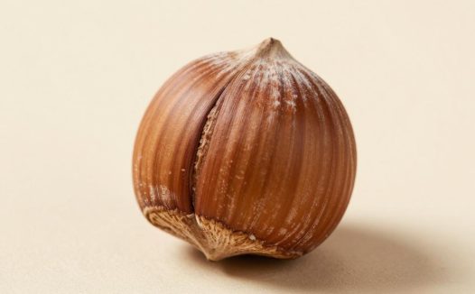 榛子的营养价值解析，榛子对健康有哪些意想不到的好处？