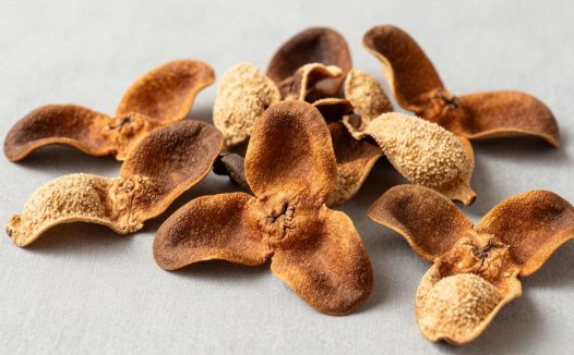 中药桂圆皮怎么用？桂圆皮的功效与食用技巧揭秘