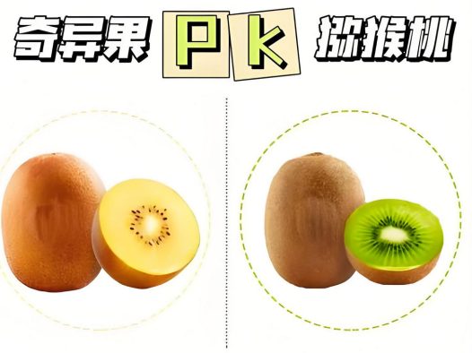 奇异果与弥猴桃的区别，哪种更适合你的饮食需求？