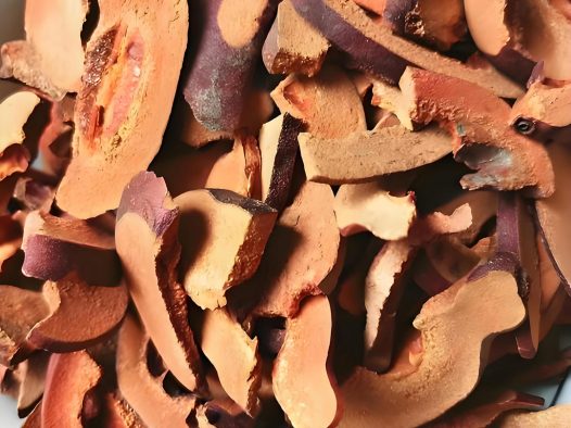 中药光木瓜有哪些神奇功效与作用？了解一下！