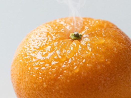 蒸橘子的功效与作用解析提升免疫力和润喉的自然良方