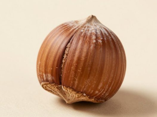 榛子的营养价值解析，榛子对健康有哪些意想不到的好处？