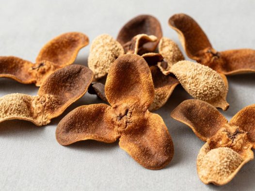 中药桂圆皮怎么用？桂圆皮的功效与食用技巧揭秘