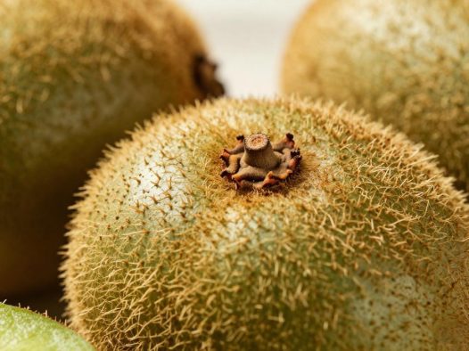 竹溪二号猕猴桃有哪些功效与作用?