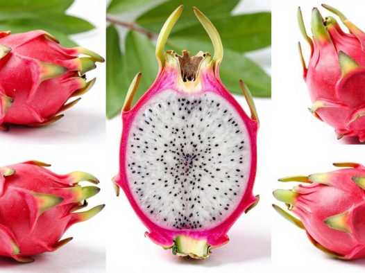 火龙果变质的迹象有哪些？教你如何辨别火龙果的新鲜度！