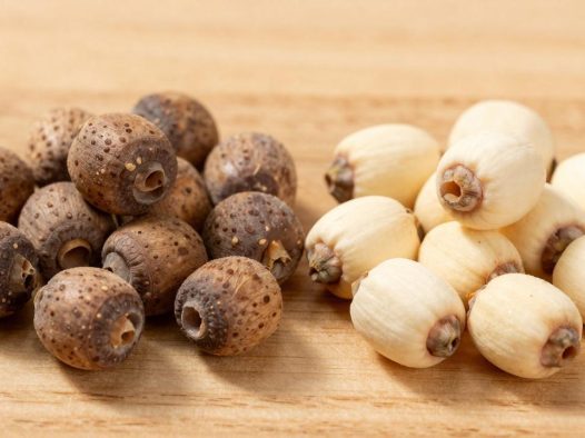 中药莲子与普通莲子的区别是什么？莲子的功效解析