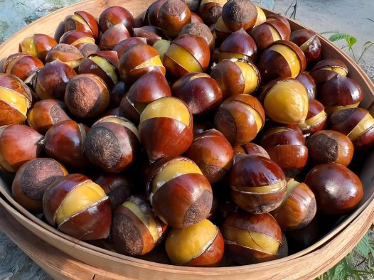 锥栗的饮食禁忌，锥栗和什么食物相克？