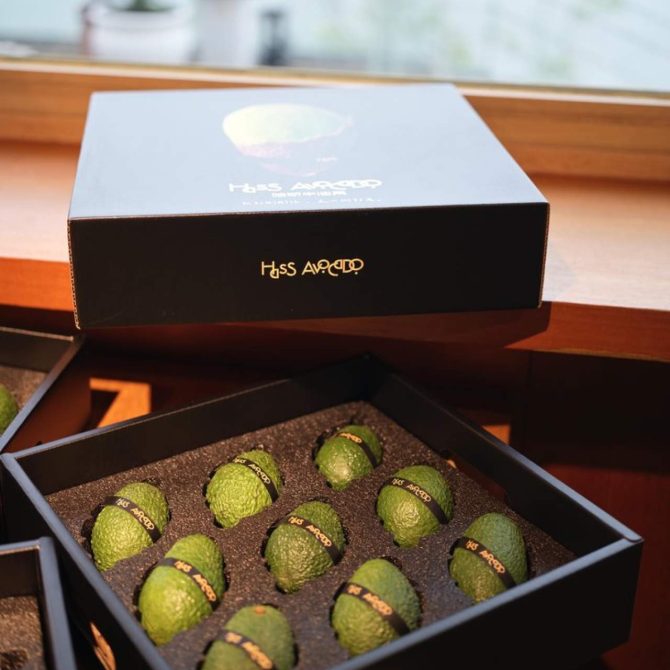 哈斯牛油果<礼盒装>