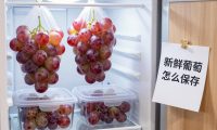 新鲜葡萄怎么保存?教你有效的葡萄保鲜方法