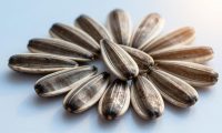 葵花籽的营养价值，探寻葵花籽的神奇功效与健康作用