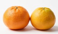 橘子和桔子的区别是什么？吃橘子对健康有哪些好处？