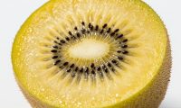 金果猕猴桃的营养价值及其对健康的神奇功效