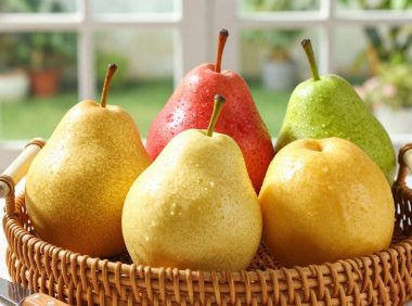 口感脆爽的梨子有哪些?2026年最值得推荐的梨子品种一览!
