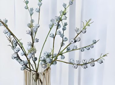 蓝桉果实的营养价值与多种神奇作用,探索蓝桉果实的健康秘辛