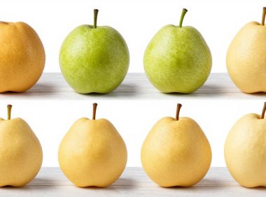 梨的产地和品种大揭秘,梨最佳生长环境