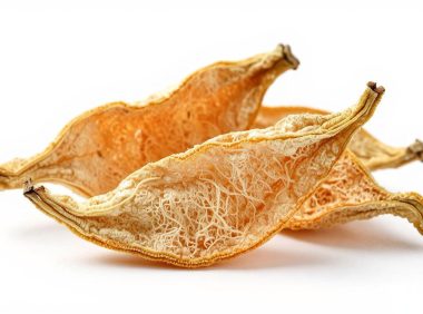 橘络的功效与作用有哪些？如何食用橘络？