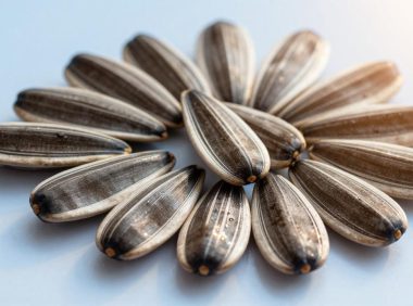 葵花籽的营养价值，探寻葵花籽的神奇功效与健康作用