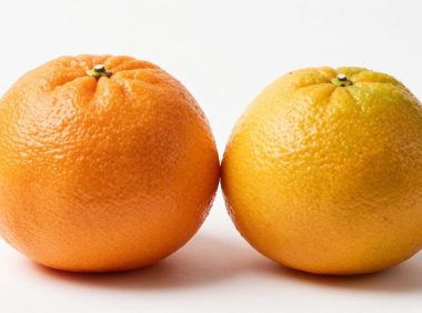 橘子和桔子的区别是什么？吃橘子对健康有哪些好处？