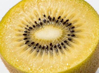 金果猕猴桃的营养价值及其对健康的神奇功效