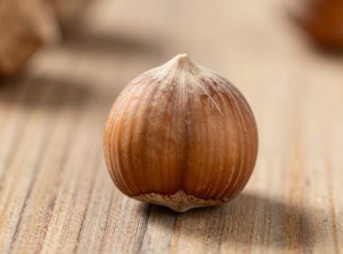 经常吃榛子的好处与坏处,榛子对健康的影响与营养价值