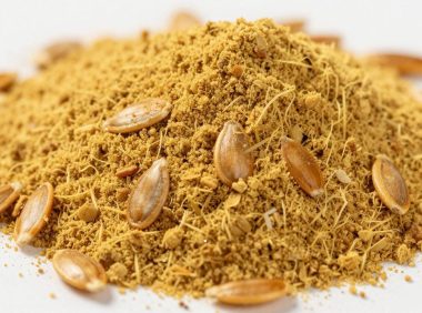 桔子籽粉的营养价值与健康功效，桔子籽粉的副作用与使用注意事项