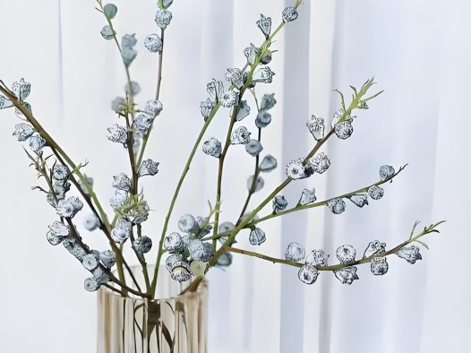 蓝桉果实的营养价值与多种神奇作用，探索蓝桉果实的健康秘辛