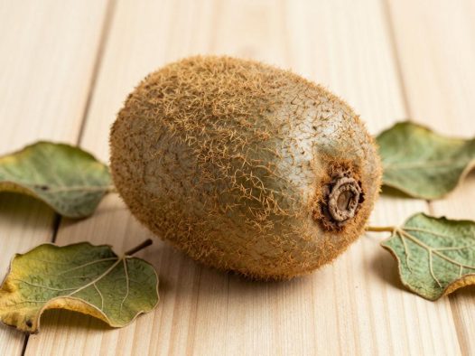 猕猴桃变软的原因及其影响因素，猕猴桃变软原因剖析