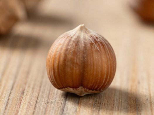 经常吃榛子的好处与坏处，榛子对健康的影响与营养价值