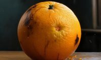 橙子放久了皮变干了怎么办？如何延长橙子的保鲜期