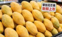 攀枝花芒果超市为什么卖那么贵?这3个成本你想不到