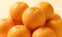 橙子买多少不会坏得太快？