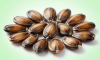 西瓜籽不小心吞下去会怎样？西瓜籽的成分与安全性