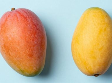 攀枝花芒果为什么比广西芒果贵?揭秘核心产地溢价真相